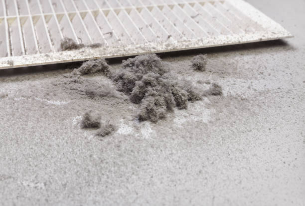 Best Affordable HVAC Duct Cleaning  in Laurel Lake, NJ