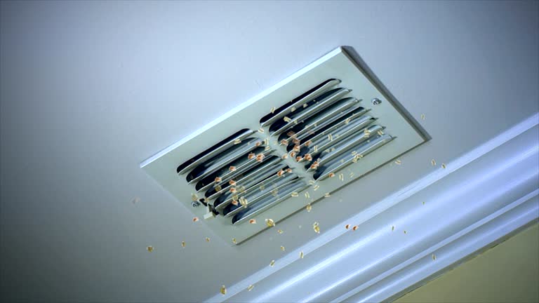 Best Commercial Air Duct Cleaning  in Laurel Lake, NJ